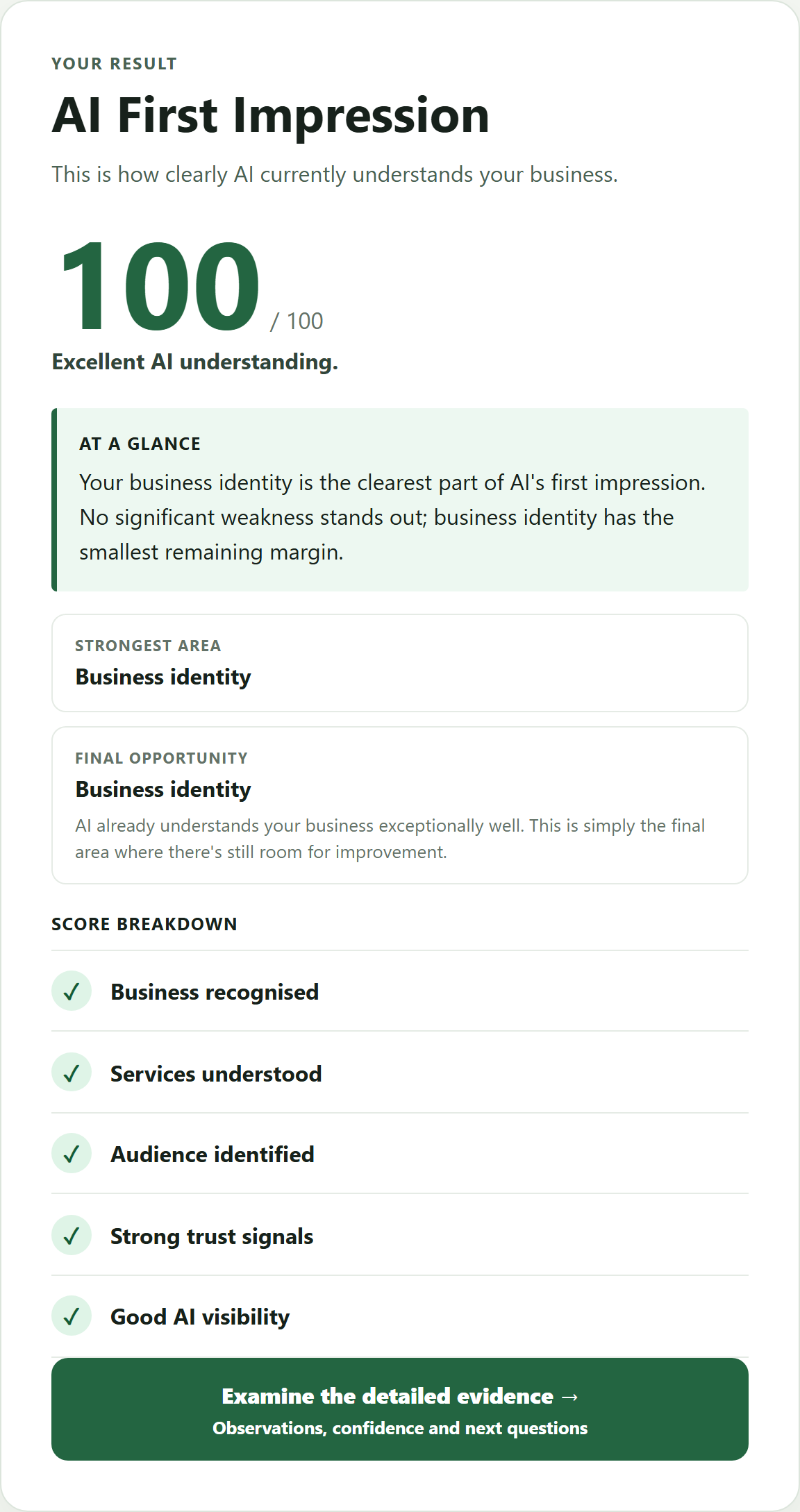 Preserved Wayli AI Readiness result from 29 July 2026, showing a score of 100 out of 100.